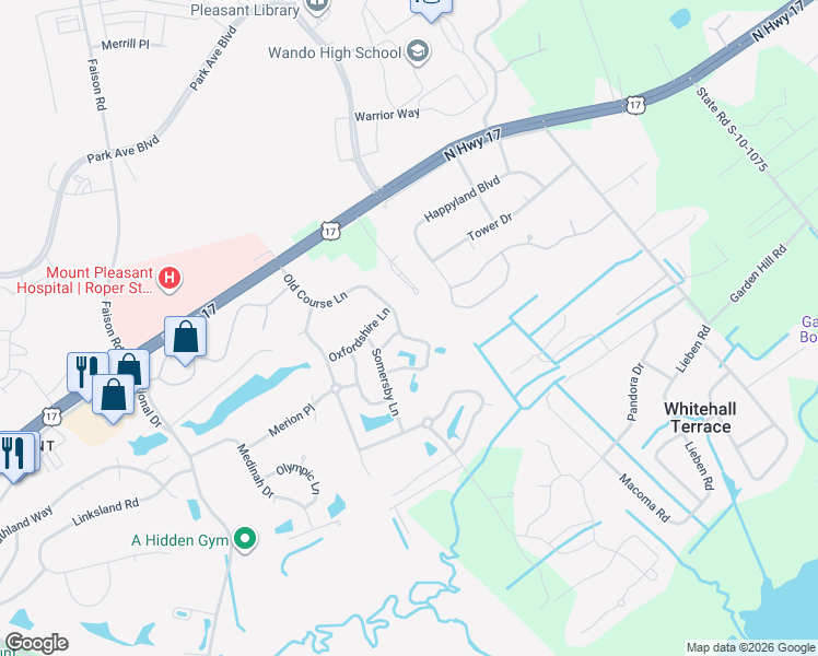 map of restaurants, bars, coffee shops, grocery stores, and more near 1203 Landau Lane in Mount Pleasant