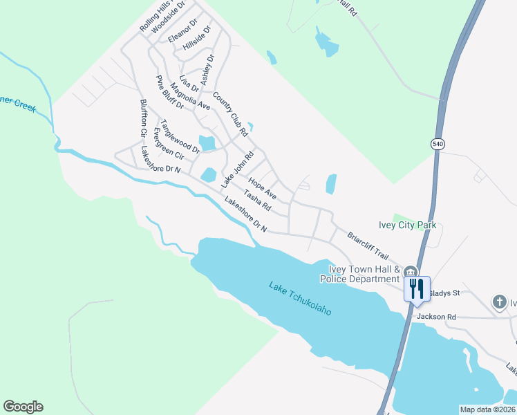 map of restaurants, bars, coffee shops, grocery stores, and more near 111 Tasha Road in Ivey