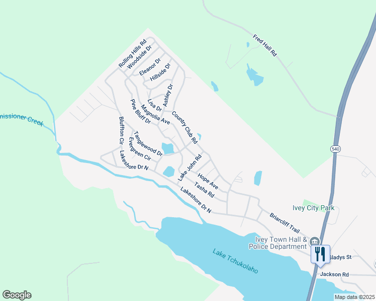 map of restaurants, bars, coffee shops, grocery stores, and more near 105 Magnolia Avenue in Ivey