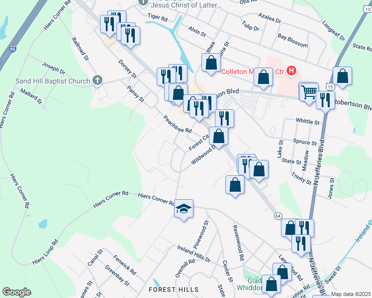 map of restaurants, bars, coffee shops, grocery stores, and more near 309 Forest Circle in Walterboro