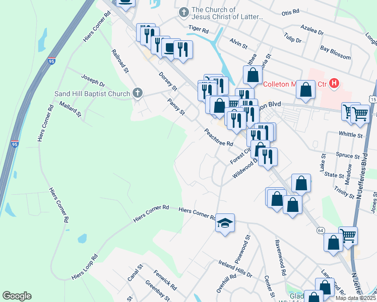 map of restaurants, bars, coffee shops, grocery stores, and more near 504 Forest Circle in Walterboro