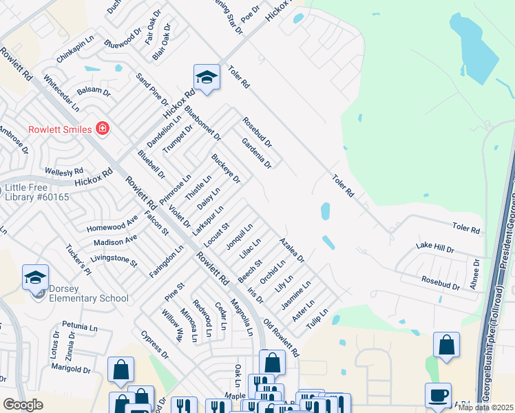 map of restaurants, bars, coffee shops, grocery stores, and more near 6407 Bluebonnet Drive in Rowlett