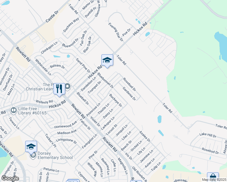 map of restaurants, bars, coffee shops, grocery stores, and more near 6604 Bluebonnet Drive in Rowlett