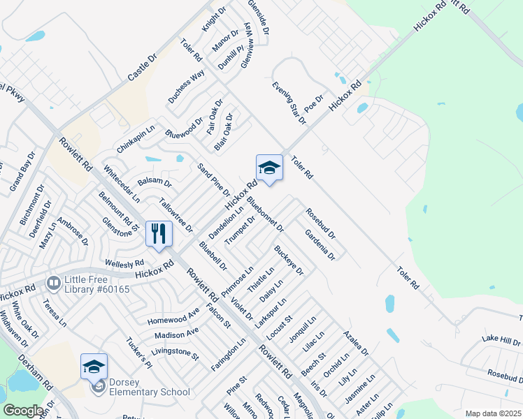 map of restaurants, bars, coffee shops, grocery stores, and more near 7300 Bluebonnet Drive in Rowlett