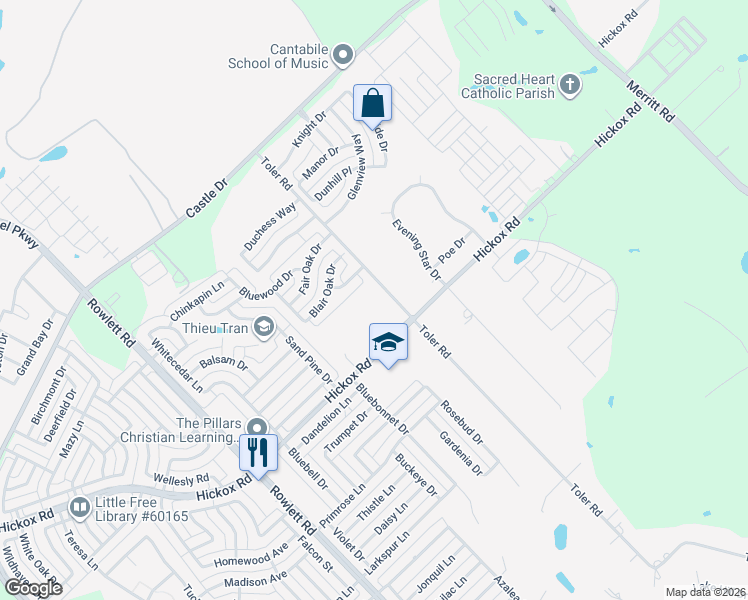 map of restaurants, bars, coffee shops, grocery stores, and more near 2906 Toler Road in Rowlett