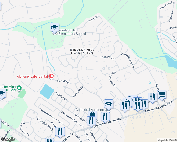 map of restaurants, bars, coffee shops, grocery stores, and more near 8432 Walsham St in Charleston