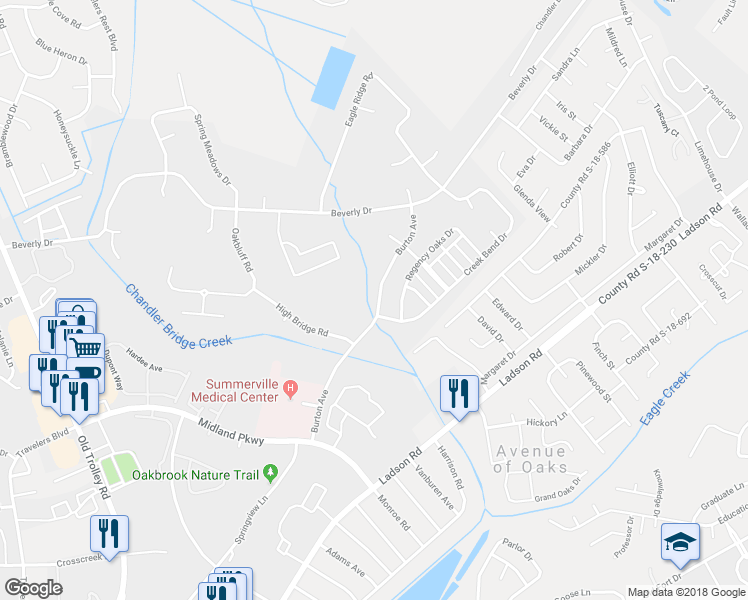 map of restaurants, bars, coffee shops, grocery stores, and more near 203 Burton Avenue in Summerville
