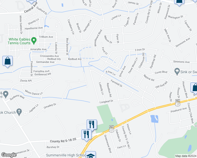 map of restaurants, bars, coffee shops, grocery stores, and more near 102 Loblolly Lane in Summerville