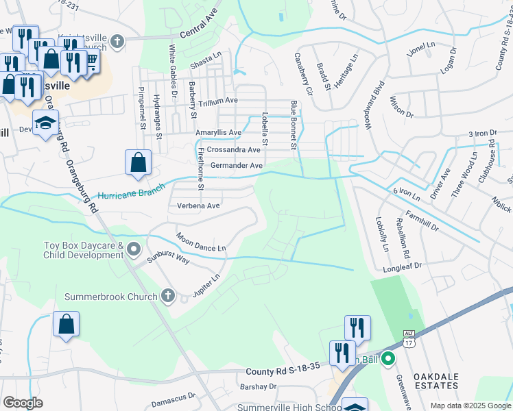 map of restaurants, bars, coffee shops, grocery stores, and more near 181 Moon Dance Lane in Summerville