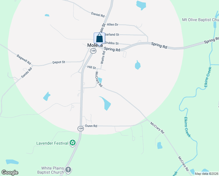 map of restaurants, bars, coffee shops, grocery stores, and more near 255 McCrary Road in Molena