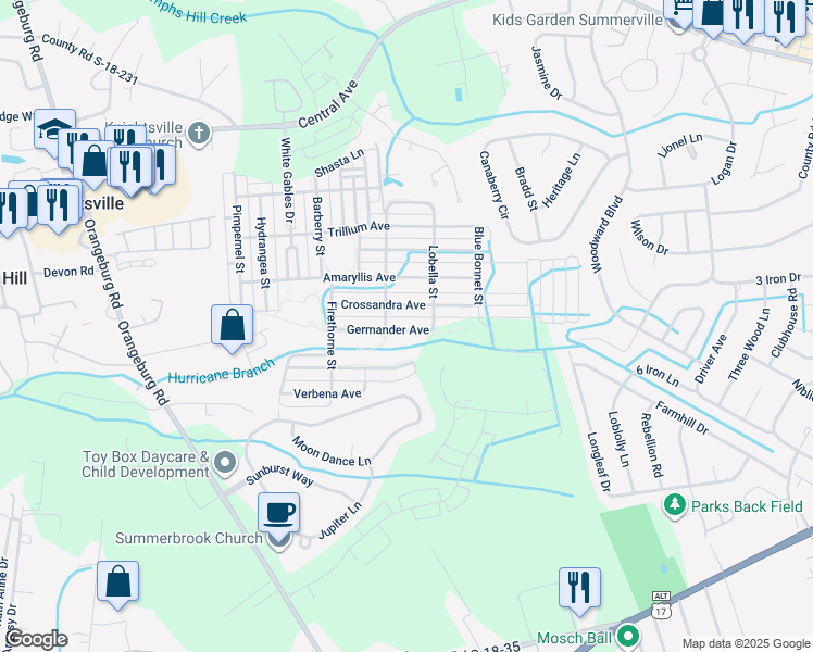 map of restaurants, bars, coffee shops, grocery stores, and more near 210 Germander Avenue in Summerville