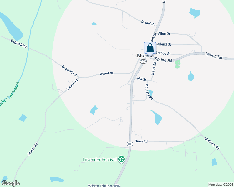 map of restaurants, bars, coffee shops, grocery stores, and more near 210 Railroad Street in Molena