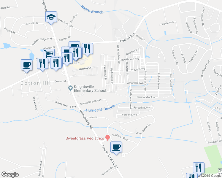map of restaurants, bars, coffee shops, grocery stores, and more near 408 Hydrangea Street in Summerville