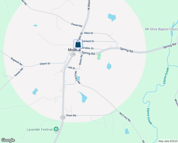 map of restaurants, bars, coffee shops, grocery stores, and more near 185 Hill Street in Molena
