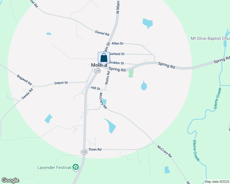 map of restaurants, bars, coffee shops, grocery stores, and more near 185 Hill Street in Molena