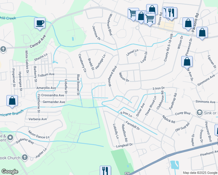 map of restaurants, bars, coffee shops, grocery stores, and more near 218 Woodward Boulevard in Summerville