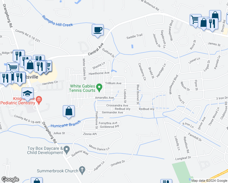 map of restaurants, bars, coffee shops, grocery stores, and more near 321 Foxglove Avenue in Summerville