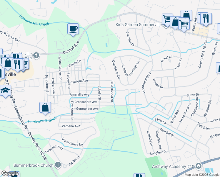 map of restaurants, bars, coffee shops, grocery stores, and more near 113 Trillium Avenue in Summerville