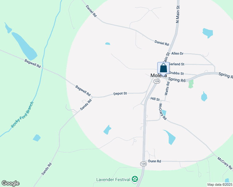 map of restaurants, bars, coffee shops, grocery stores, and more near 198 Depot Street in Molena