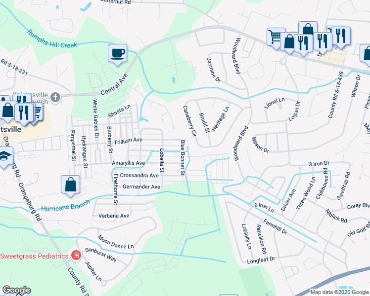 map of restaurants, bars, coffee shops, grocery stores, and more near 111 Blue Bonnet Street in Summerville