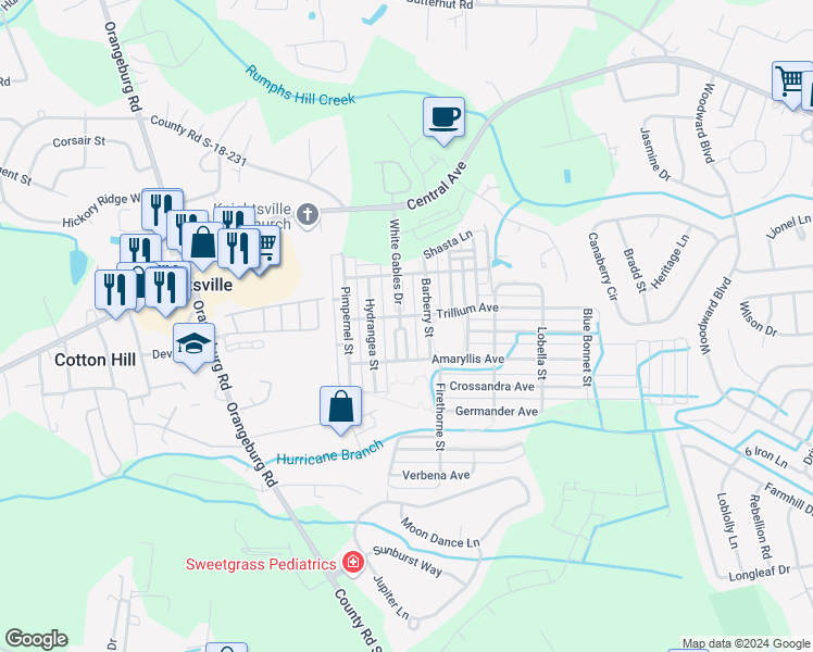 map of restaurants, bars, coffee shops, grocery stores, and more near 303 White Gables Drive in Summerville