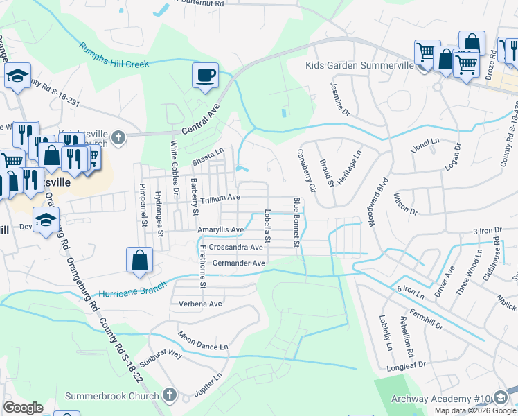 map of restaurants, bars, coffee shops, grocery stores, and more near 209 Trillium Avenue in Summerville