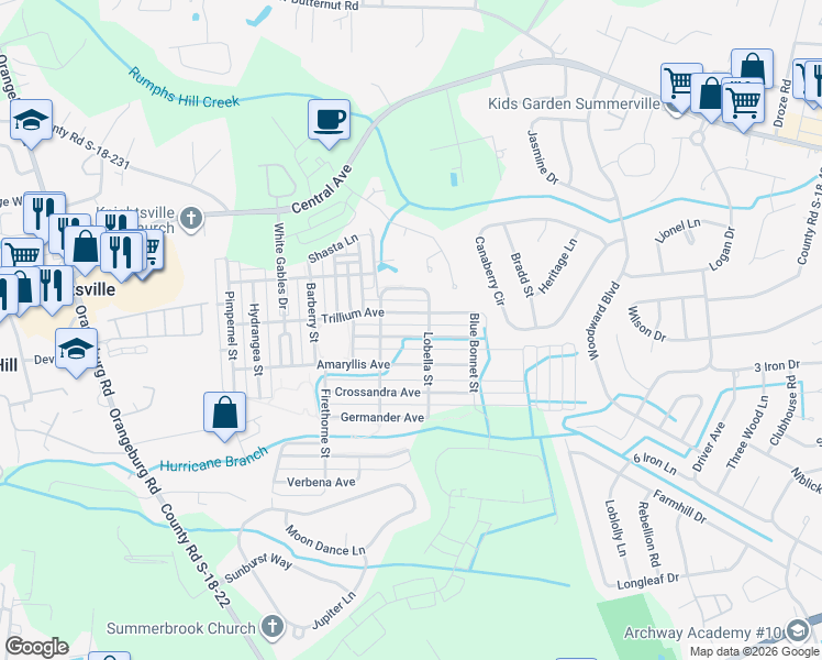 map of restaurants, bars, coffee shops, grocery stores, and more near 209 Trillium Avenue in Summerville