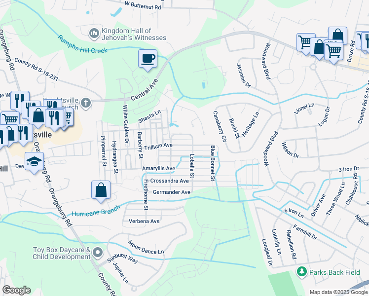 map of restaurants, bars, coffee shops, grocery stores, and more near 209 Trillium Ave in Summerville
