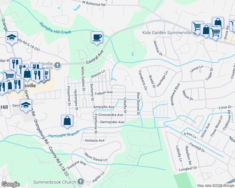 map of restaurants, bars, coffee shops, grocery stores, and more near 209 Trillium Avenue in Summerville