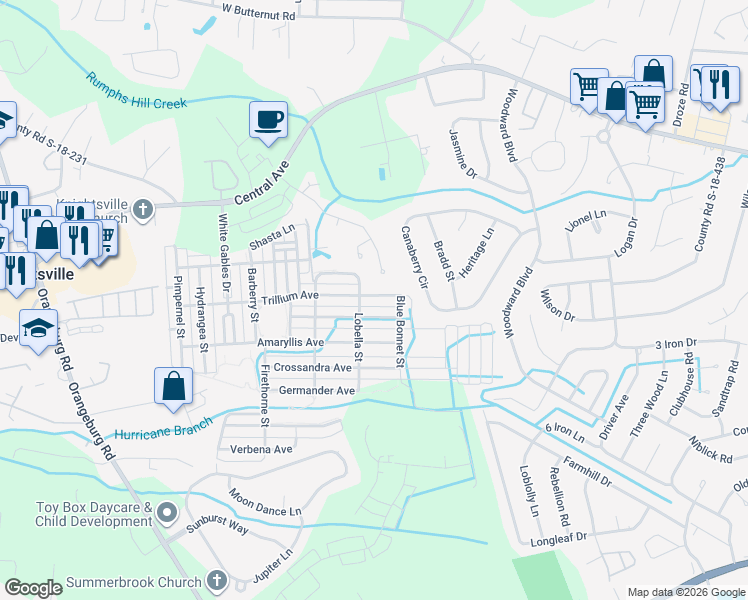 map of restaurants, bars, coffee shops, grocery stores, and more near 113 Trillium Avenue in Summerville