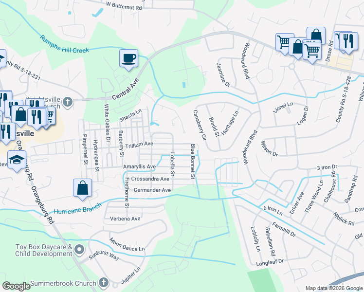 map of restaurants, bars, coffee shops, grocery stores, and more near 113 Trillium Avenue in Summerville