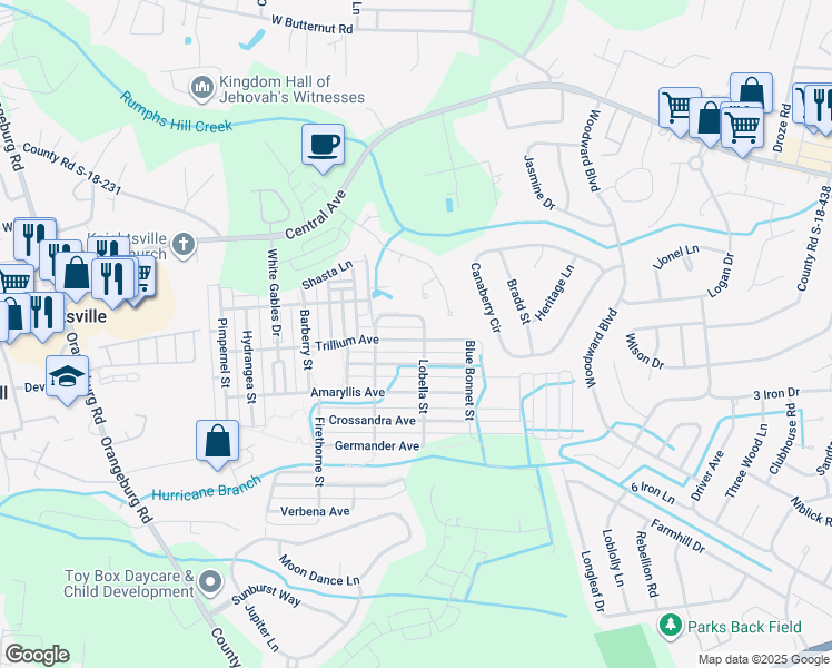 map of restaurants, bars, coffee shops, grocery stores, and more near 209 Trillium Avenue in Summerville