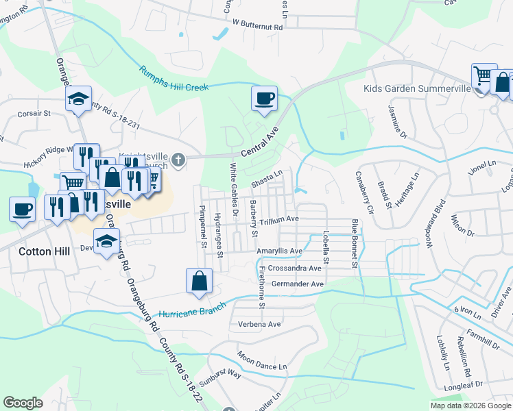 map of restaurants, bars, coffee shops, grocery stores, and more near 207 Barberry Street in Summerville