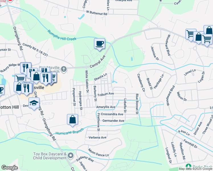 map of restaurants, bars, coffee shops, grocery stores, and more near 202 Hyacinth Street in Summerville