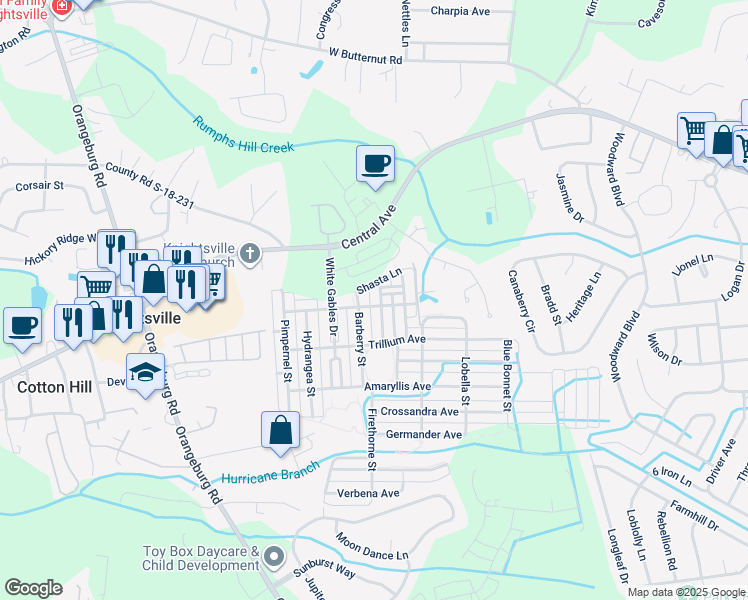 map of restaurants, bars, coffee shops, grocery stores, and more near 121 Dandelion Street in Summerville