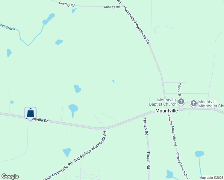 map of restaurants, bars, coffee shops, grocery stores, and more near 102 Charles Heard Road in LaGrange