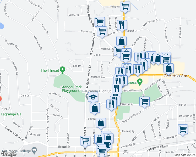 map of restaurants, bars, coffee shops, grocery stores, and more near 131 Mitchell Avenue in LaGrange