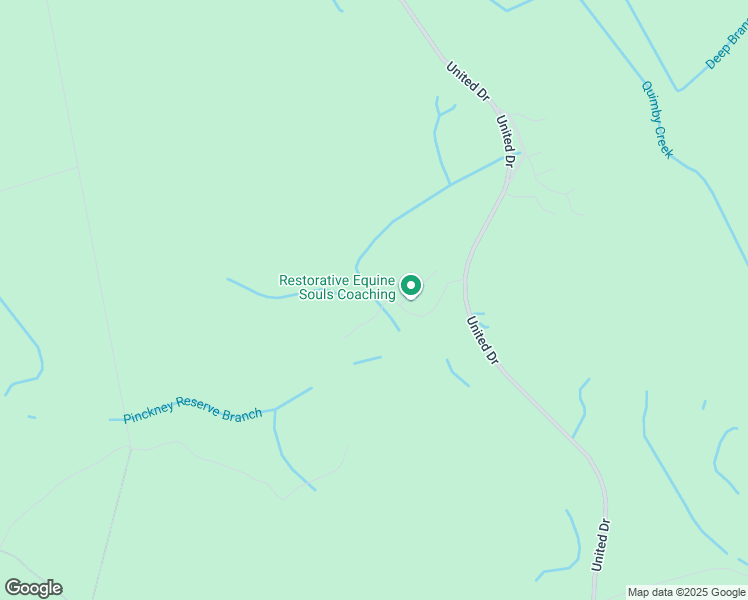 map of restaurants, bars, coffee shops, grocery stores, and more near 542 Bertha Lane in Huger