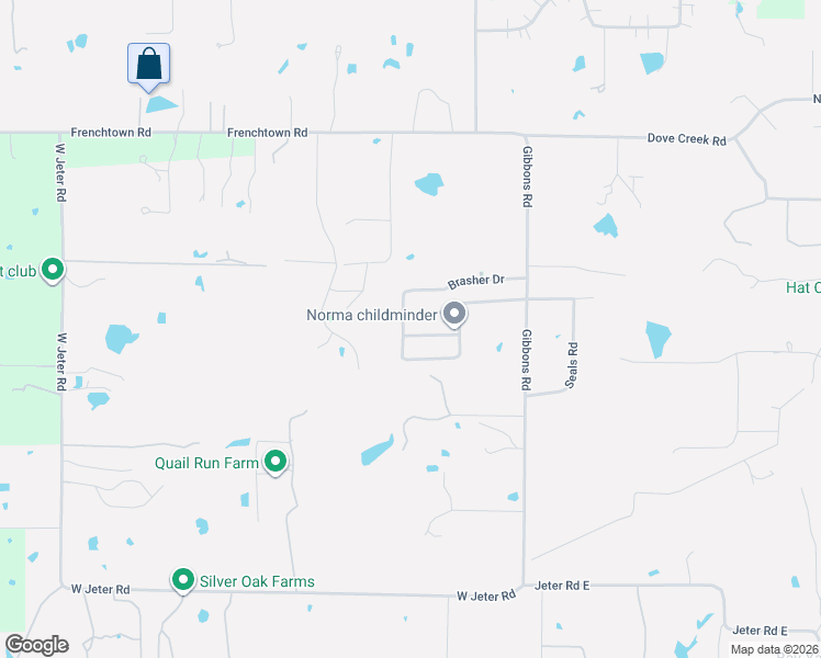 map of restaurants, bars, coffee shops, grocery stores, and more near 1207 Pecan Drive in Bartonville