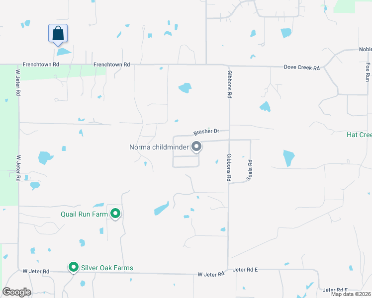 map of restaurants, bars, coffee shops, grocery stores, and more near 1207 Pecan Drive in Bartonville