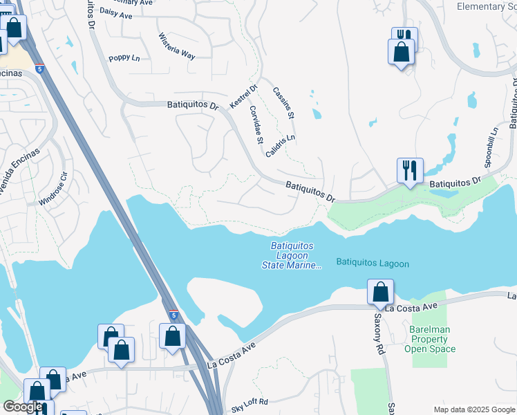 map of restaurants, bars, coffee shops, grocery stores, and more near Shorebird Lane in Carlsbad