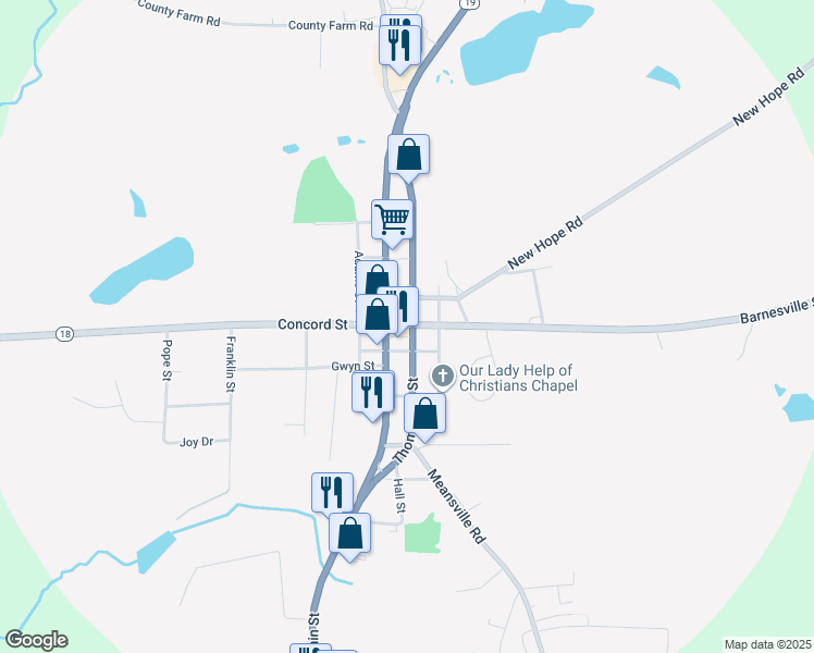 16016 Barnesville Street, Zebulon GA Walk Score