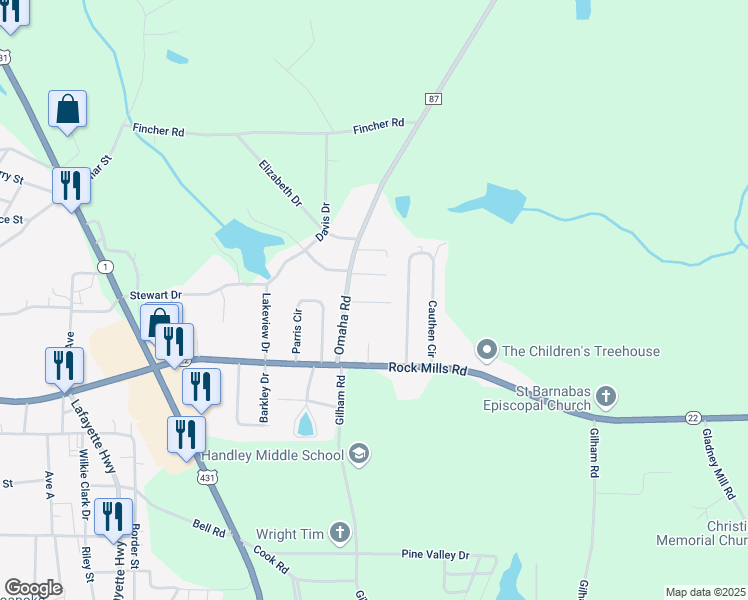 map of restaurants, bars, coffee shops, grocery stores, and more near 533 Lane Avenue in Roanoke