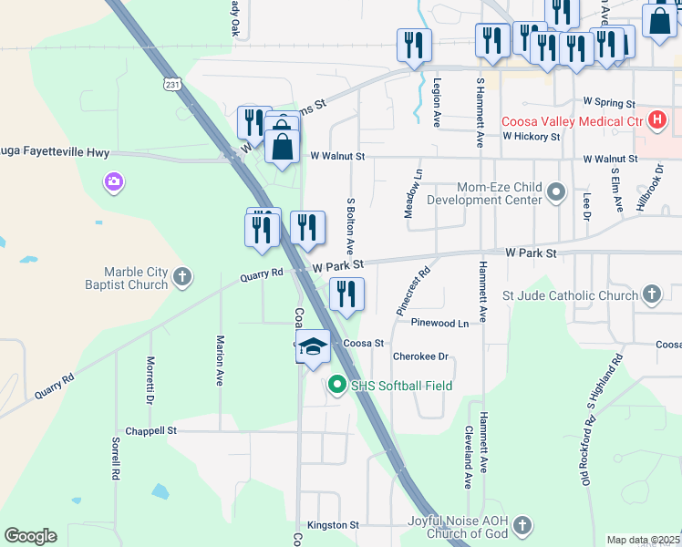 map of restaurants, bars, coffee shops, grocery stores, and more near 1207 West Park Street in Sylacauga