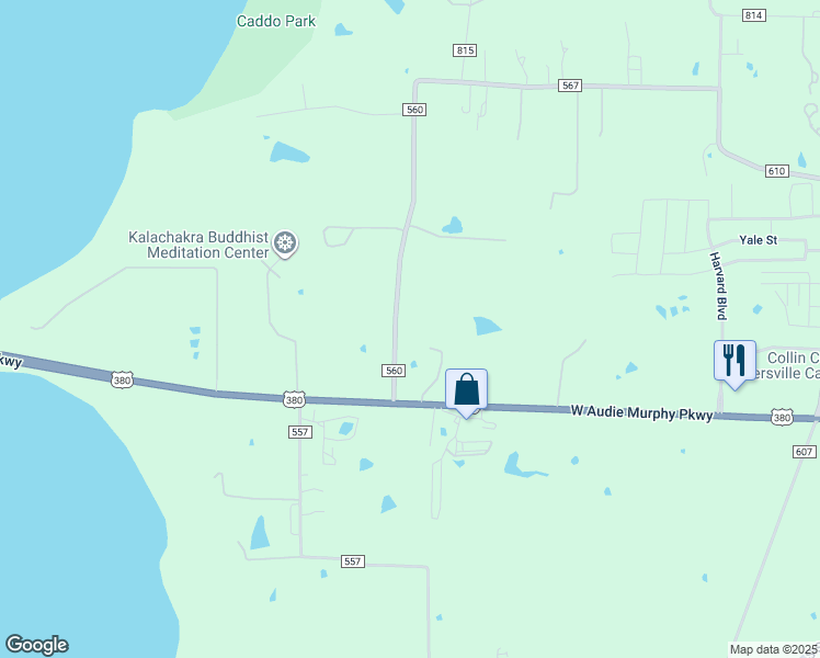 map of restaurants, bars, coffee shops, grocery stores, and more near 156 County Road 560 in Farmersville