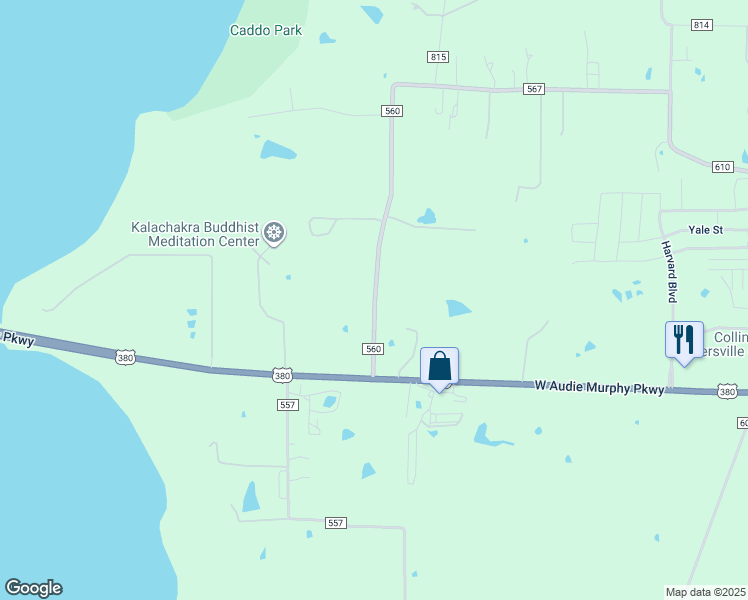 map of restaurants, bars, coffee shops, grocery stores, and more near 156 County Road 560 in Farmersville