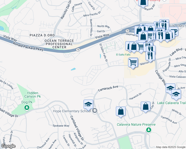 map of restaurants, bars, coffee shops, grocery stores, and more near 3173 Tondi Way in Carlsbad