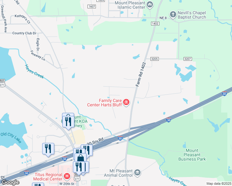 map of restaurants, bars, coffee shops, grocery stores, and more near 115 Diane Lane in Mount Pleasant