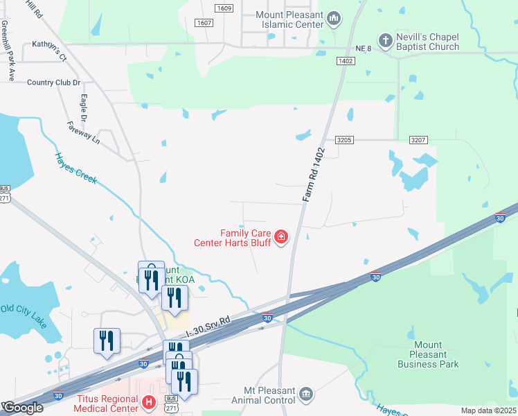 map of restaurants, bars, coffee shops, grocery stores, and more near 115 Diane Lane in Mount Pleasant