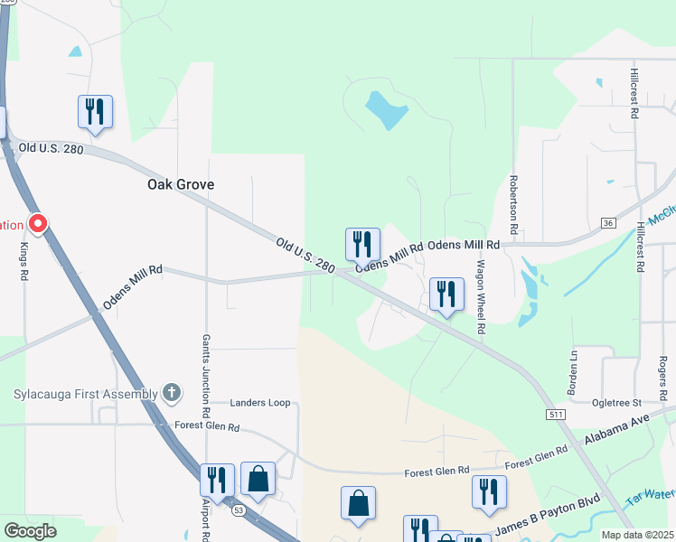 map of restaurants, bars, coffee shops, grocery stores, and more near 2939 Old Birmingham Hwy in Sylacauga